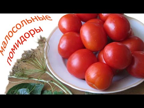Малосольные помидоры (квашеные) Рецепт приготовления малосольных помидор за 2дня